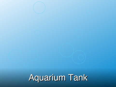 Aquarium Tanks