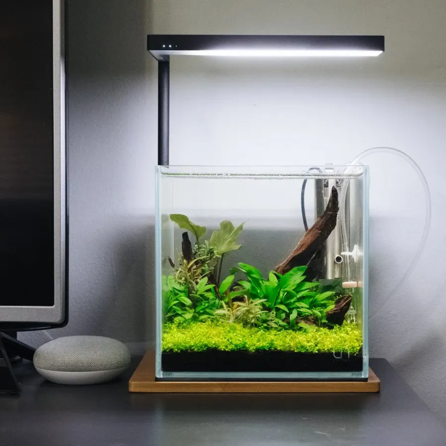 Aquarium Tank – 1 ft (Nano)