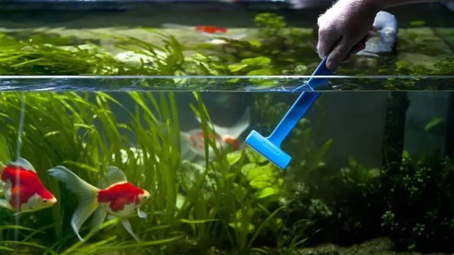 Tank Cleaning – Monthly Plan
