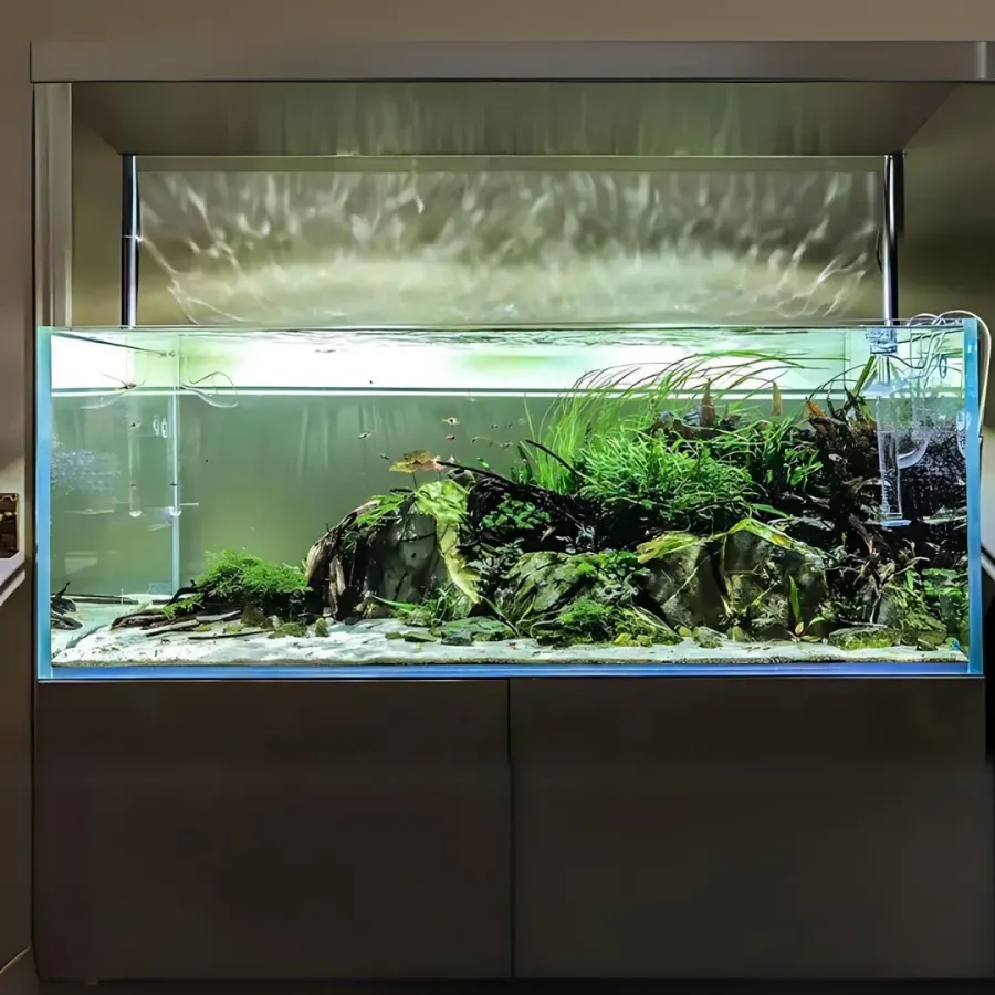 Aquarium Tank – 4 ft (Expert)